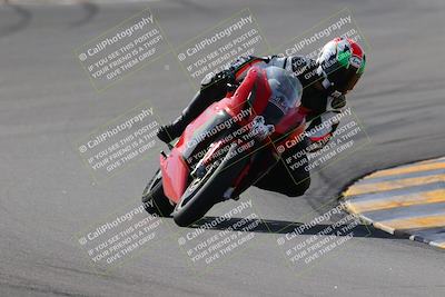 media/Nov-05-2022-SoCal Trackdays (Sat) [[f8d9b725ab]]/Turns 9 and 8 (1050am/